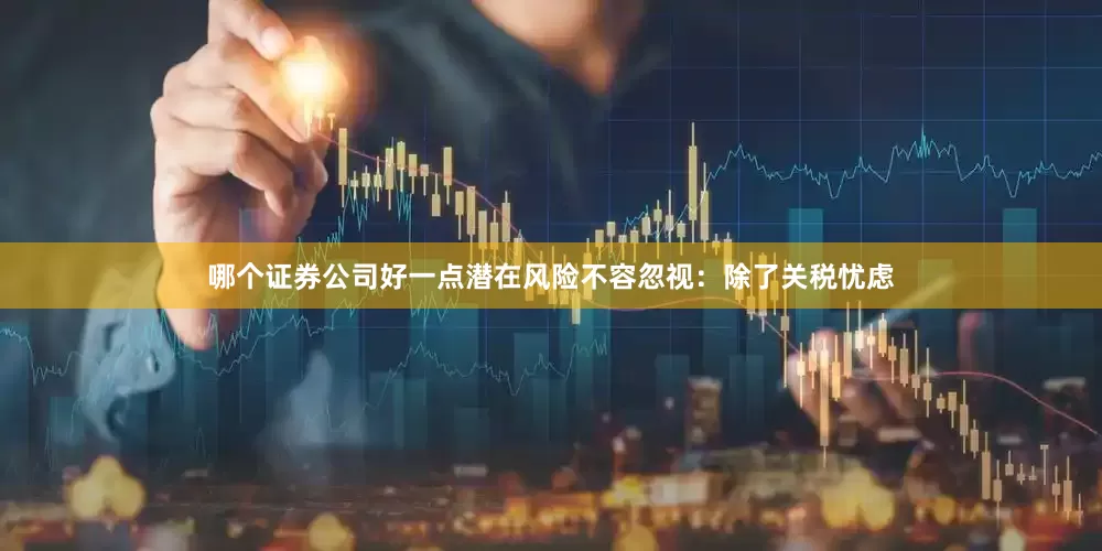 哪个证券公司好一点潜在风险不容忽视：除了关税忧虑