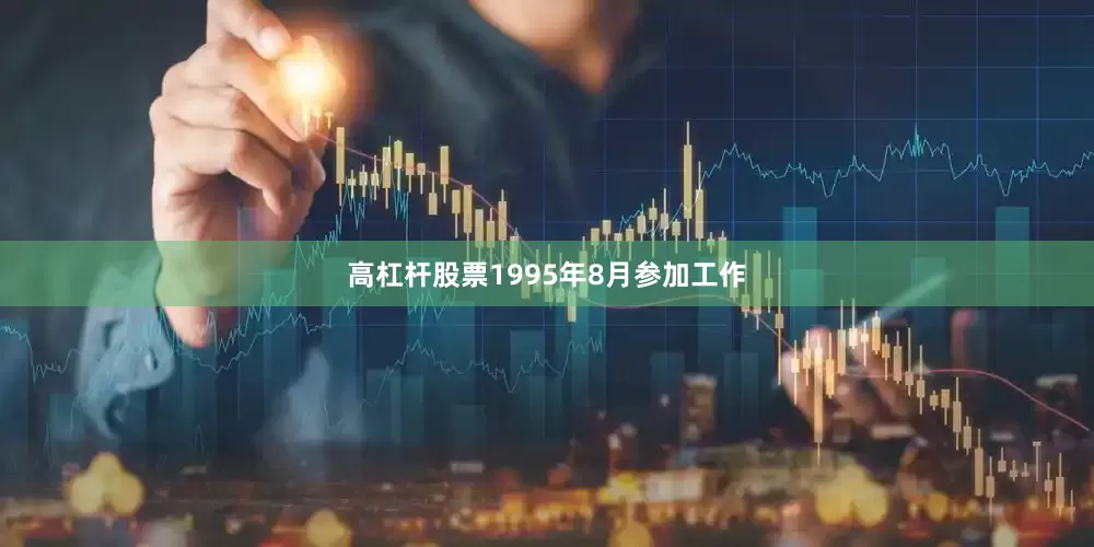 高杠杆股票1995年8月参加工作
