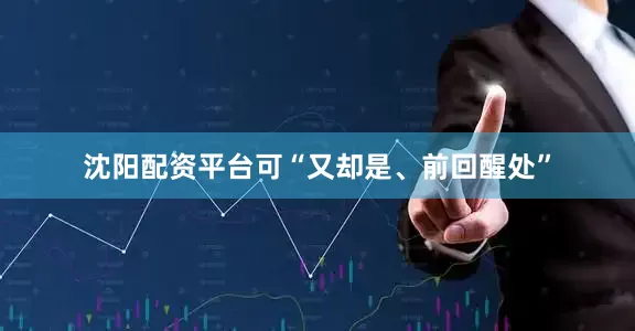沈阳配资平台可“又却是、前回醒处”