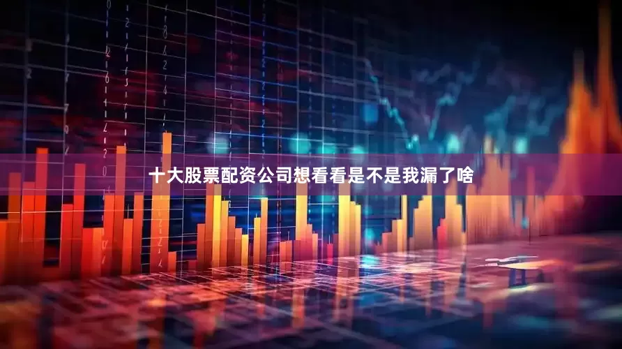 十大股票配资公司想看看是不是我漏了啥